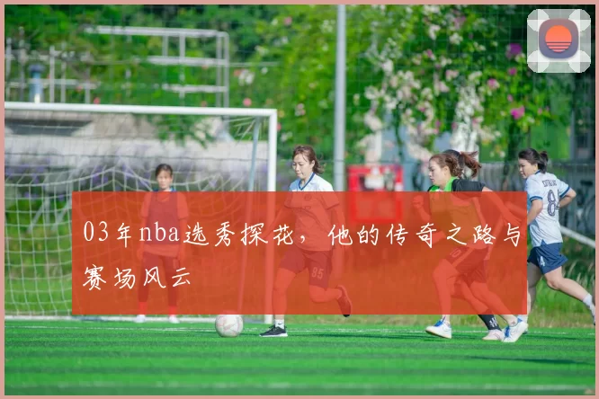 03年nba选秀探花，他的传奇之路与赛场风云
