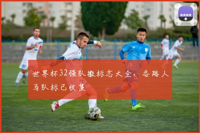 世界杯32强队徽标志大全,各路人马队标已收集